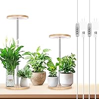 Vista 51 de LORDEM Grow Light, LED Plant Light for Indoor Plants Growing, Full Spectrum Desk Growth Lamp with Automatic Timer for 4H/8H/12H, 4 Dimmable Levels