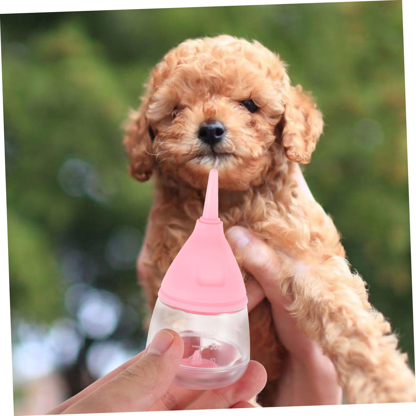 SUPVOX 5pezzi Bottiglia per Allattamento Cuccioli Kit di Alimentazione per Gattini e Cuccioli Facile da Pulire e Misurare per Animali Domestici di Piccole