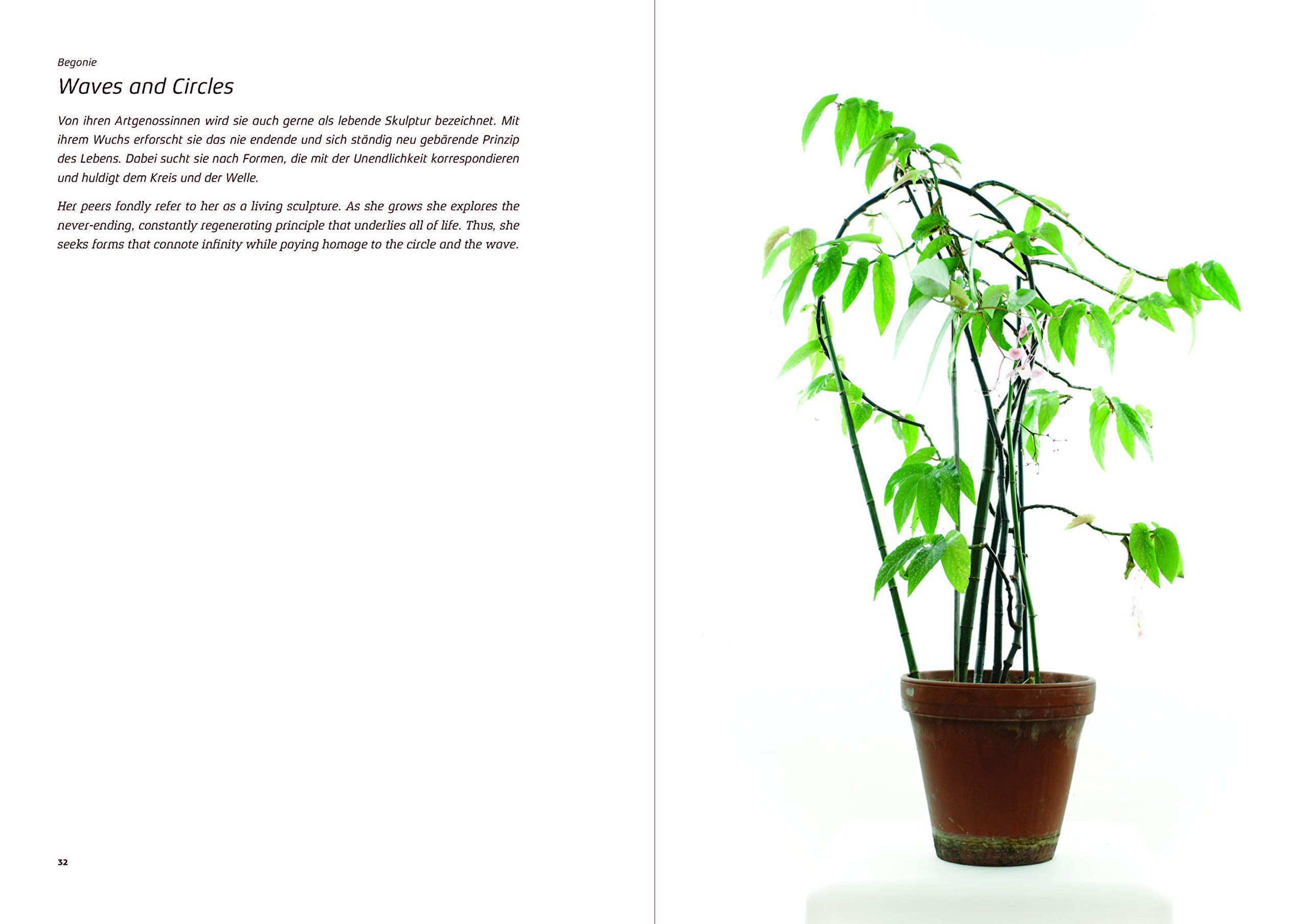 Urban Plants: Bio-Biographies