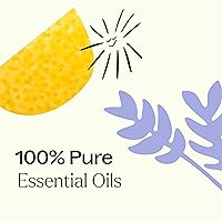 Vista 6 de Plant Therapy Breathe Easy - Juego de 6 botellas de aceite esencial de 0.3 fl oz cada una, lavanda, eucalipto, menta, citronela, naranja dulce