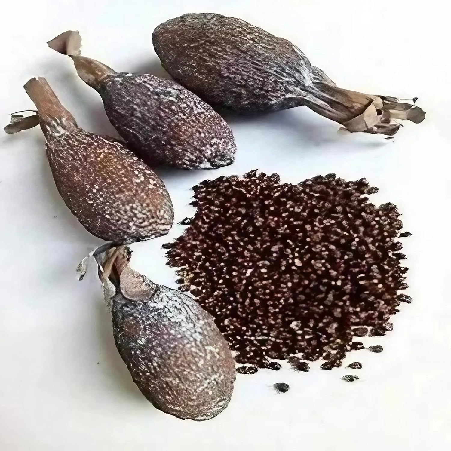 RMY Manigueta entera vaina de guinea de chile pimiento de cocodrilo 6 PCS