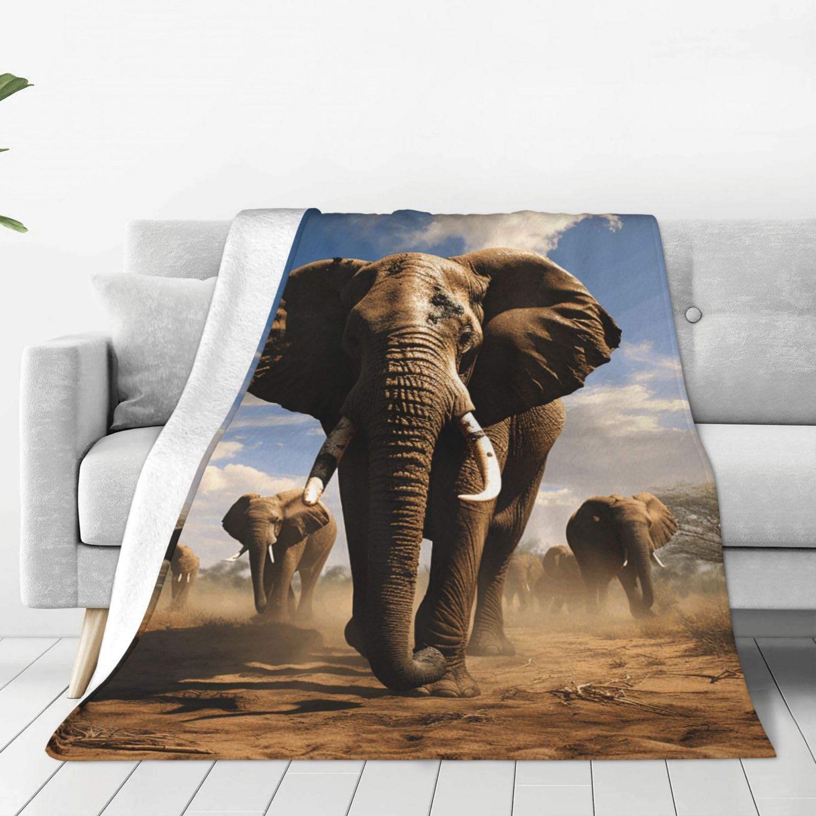Ferocious Elephant Throw Blanket for Couch, Plush Fuzzy Soft Flannel Blankets and Throws for Sofa, 50"x40" Bed Blankets for Travel Camping Chair, All Season Warm Fleece Blanket
