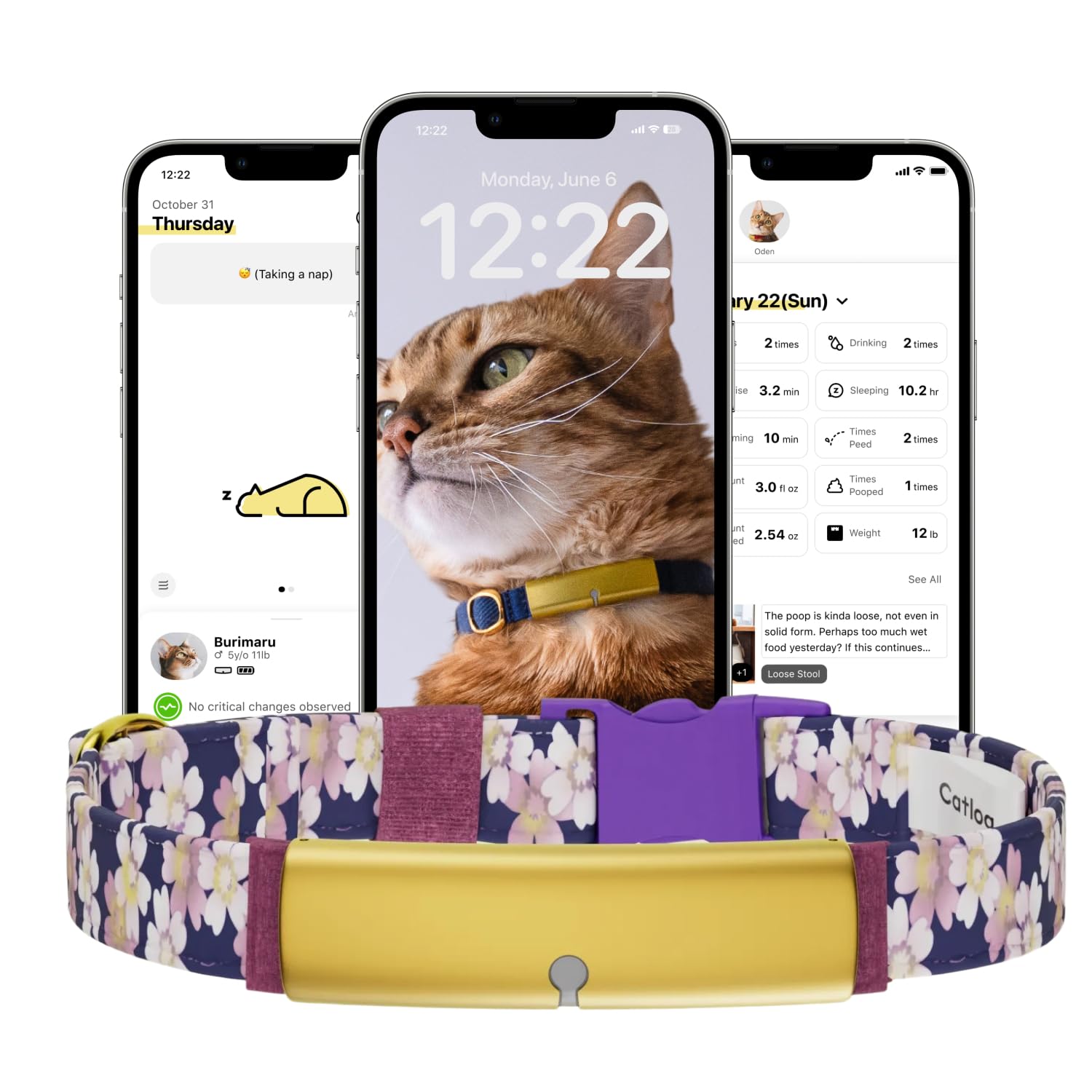 Catlog Smart Cat Collar with Health Tracker