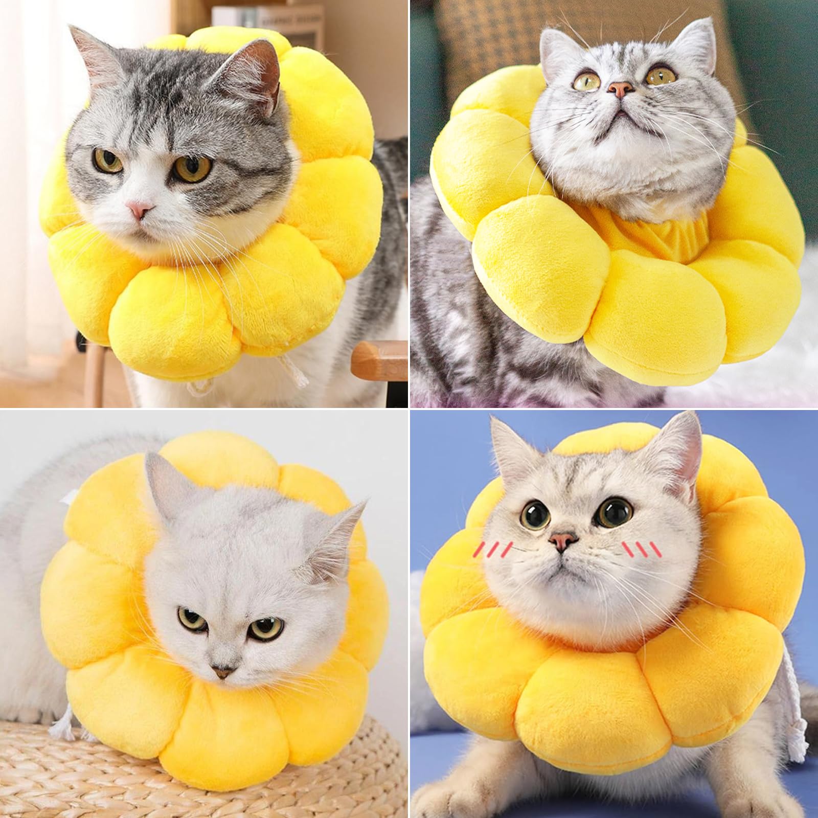 Newpop Collar Isabelino Gato, Collares Protector para Gatos, Collarin Gato de Girasol, Cono Suave del Cuello Mascotas, para Gatitos Perros Pequeños Cicatrización de Heridas Después de una Operación(M)