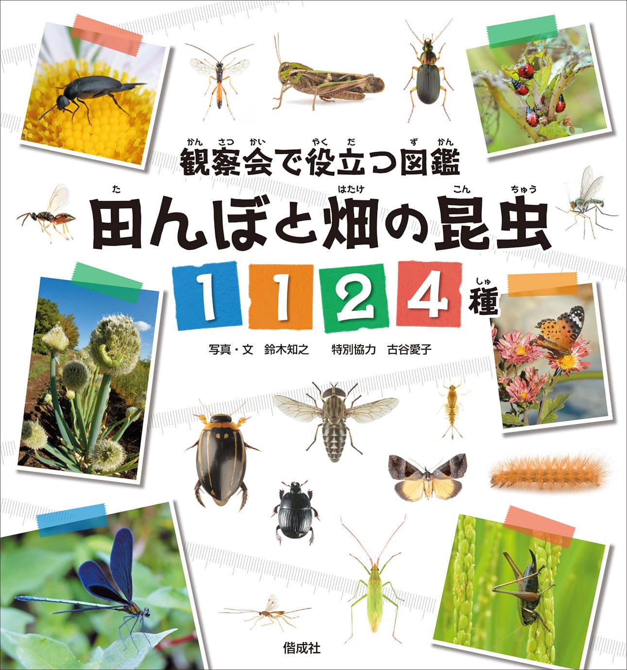 田んぼと畑の昆虫1124種 | 鈴木知之, 古谷愛子 |本 | 通販 | Amazon