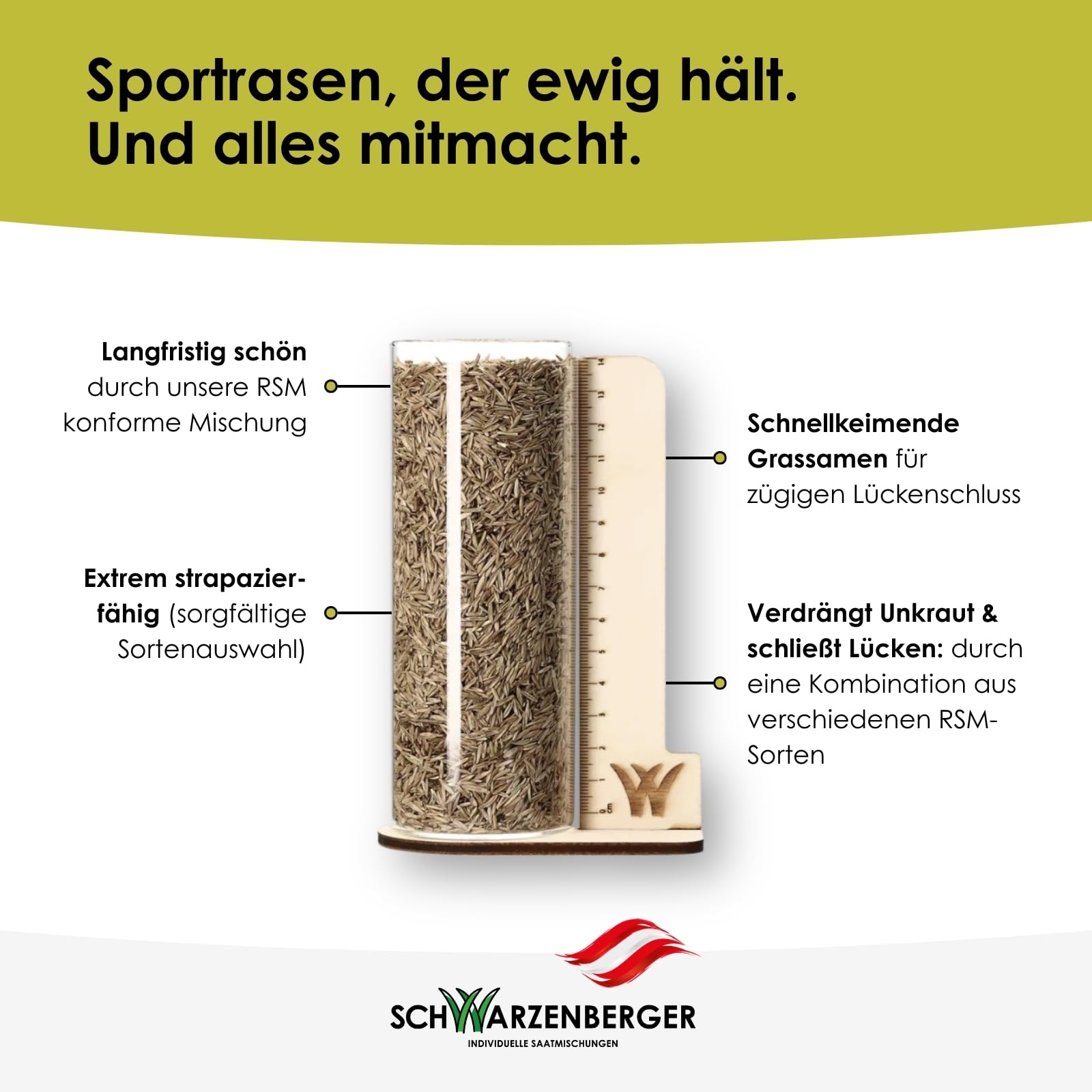 Samen Schwarzenberger I Nachsaat Rasensamen | 10 kg für 300 m² I schnellkeimend & pflegeleicht I für dichten, gleichmäßigen Rasen I Sport- & Spielrasen I verdrängt Moos & Unkraut