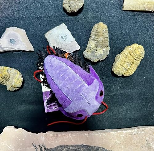 Miniatura 6 de GIANT MICROBES Fuzzy Fossils Trilobite Plush - Aprende sobre fósiles y criaturas prehistóricas, regalo único para familiares, amigos, científicos,