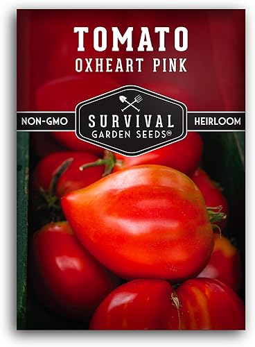 Survival Garden Seeds - Oxheart Pink Tomato Seed for Planting - Packet with Instructions to Plant and Grow Large Delicious Canning Tomatoes in Your