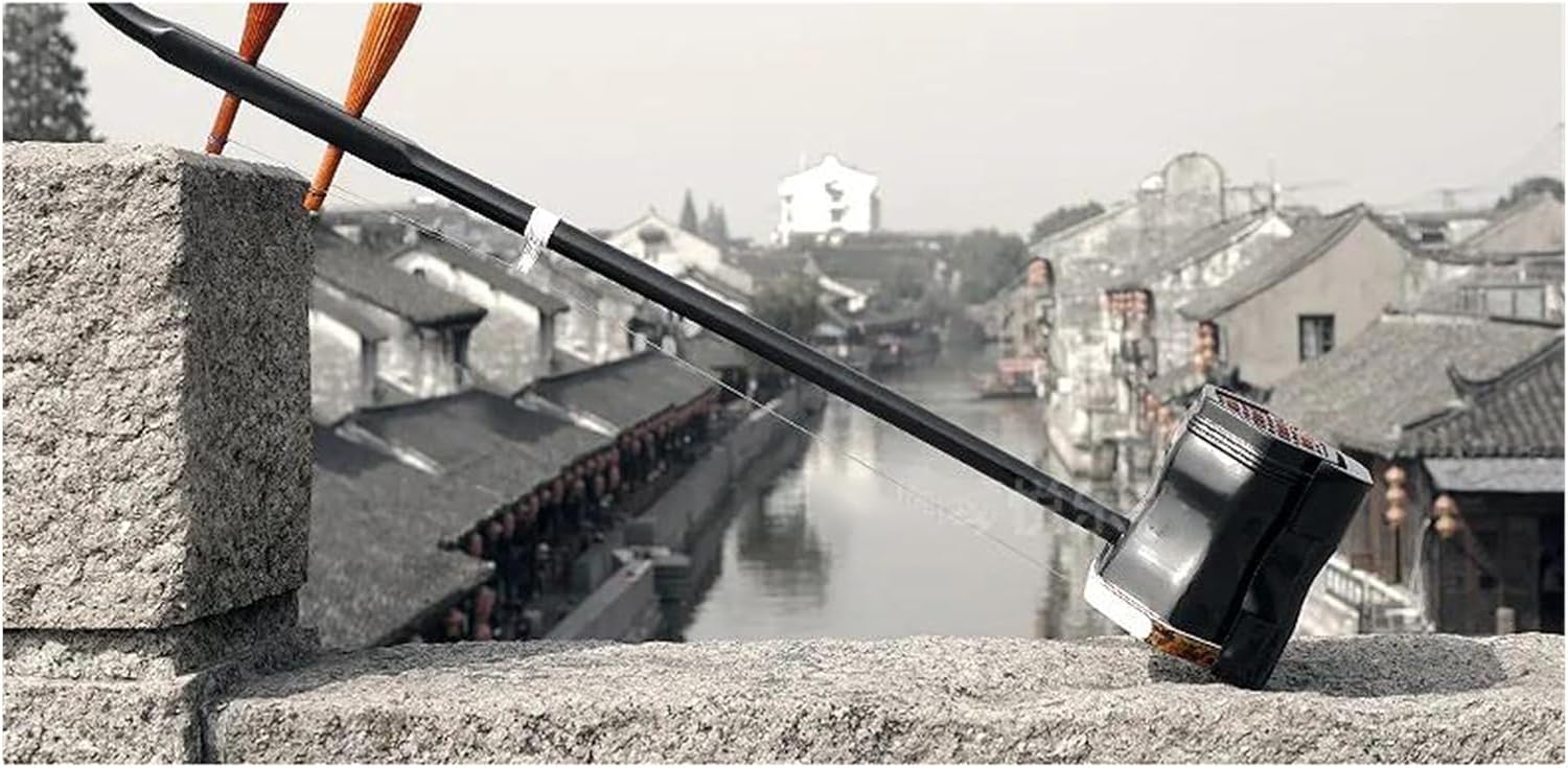 未使用】蘇州二胡 紅木 胡弓 ヘビ皮 弦楽器 セミハードケース付き 二胡