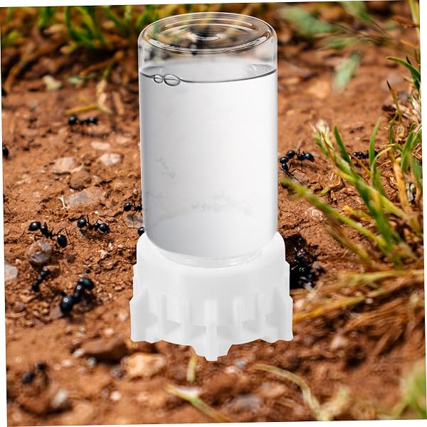 Toddmomy Distributeur d'eau pour Animaux De Compagnie Abreuvoir pour Fourmis Distributeur De Liquide pour Fourmis Dispositif d'alimentation pour Fourmis Bouteille d'eau pour Fourmis - 5