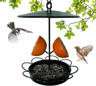 Bird Feeders For Outdoors - Sparrow Birdfeeders With Hook,Large Capacity Feeder Tray With Rain Roof For Tit, Sparrow, Goldfinches Tytlyworth