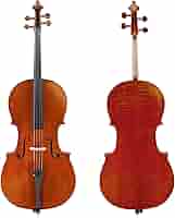 【極美品】ピグマリウス スタンダード チェロ ピグマリウス スタンダード / チェロ | アルシェ公式オンライン