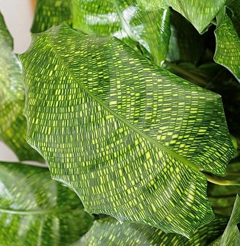 Miniatura 4 de Planta de oración de mosaico raro - Red Calathea - Calathea mosaicca - Maceta de 4"