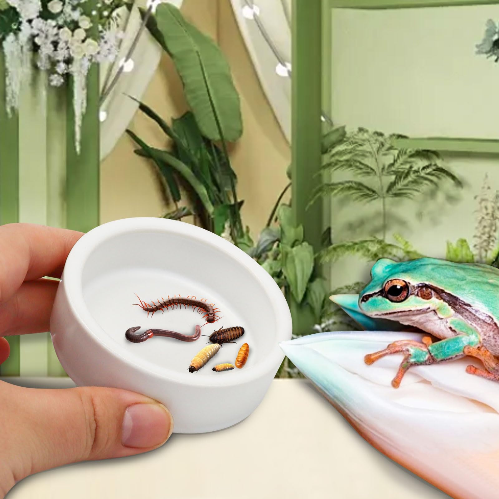 Mangeoire anti-éclatement en céramique pour petits animaux - Pour lézard, grenouille, serpent, tortue, gecko, hamster - Gamelle pour évasion alimentaire - Bol d'eau pour reptiles (M)