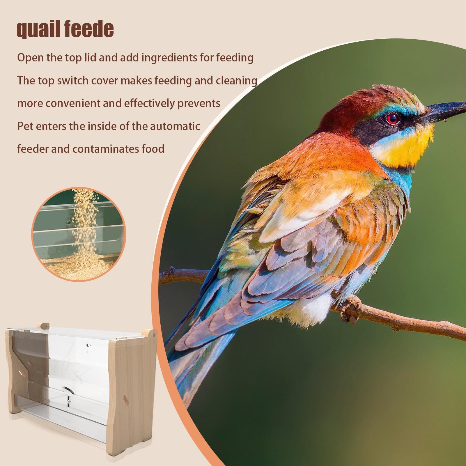 No Waste Quail Feeder,Duck Water Feeder Distributeur d'eau pour Oiseaux, | Mangeoire à poulet Distributeur d'eau d'