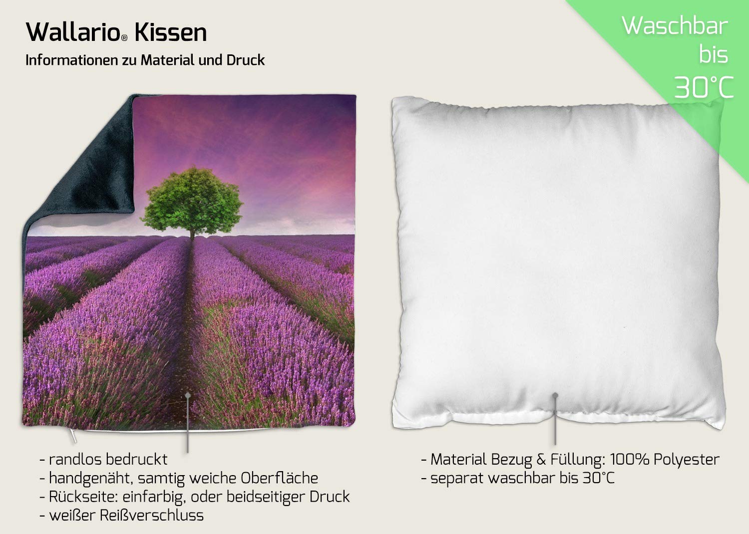 Wallario Dekokissen 60 x 60 cm mit schwarzer Rückseite, Lila Blumenfeld, Kuschelkissen mit weicher Plüsch-Oberfläche