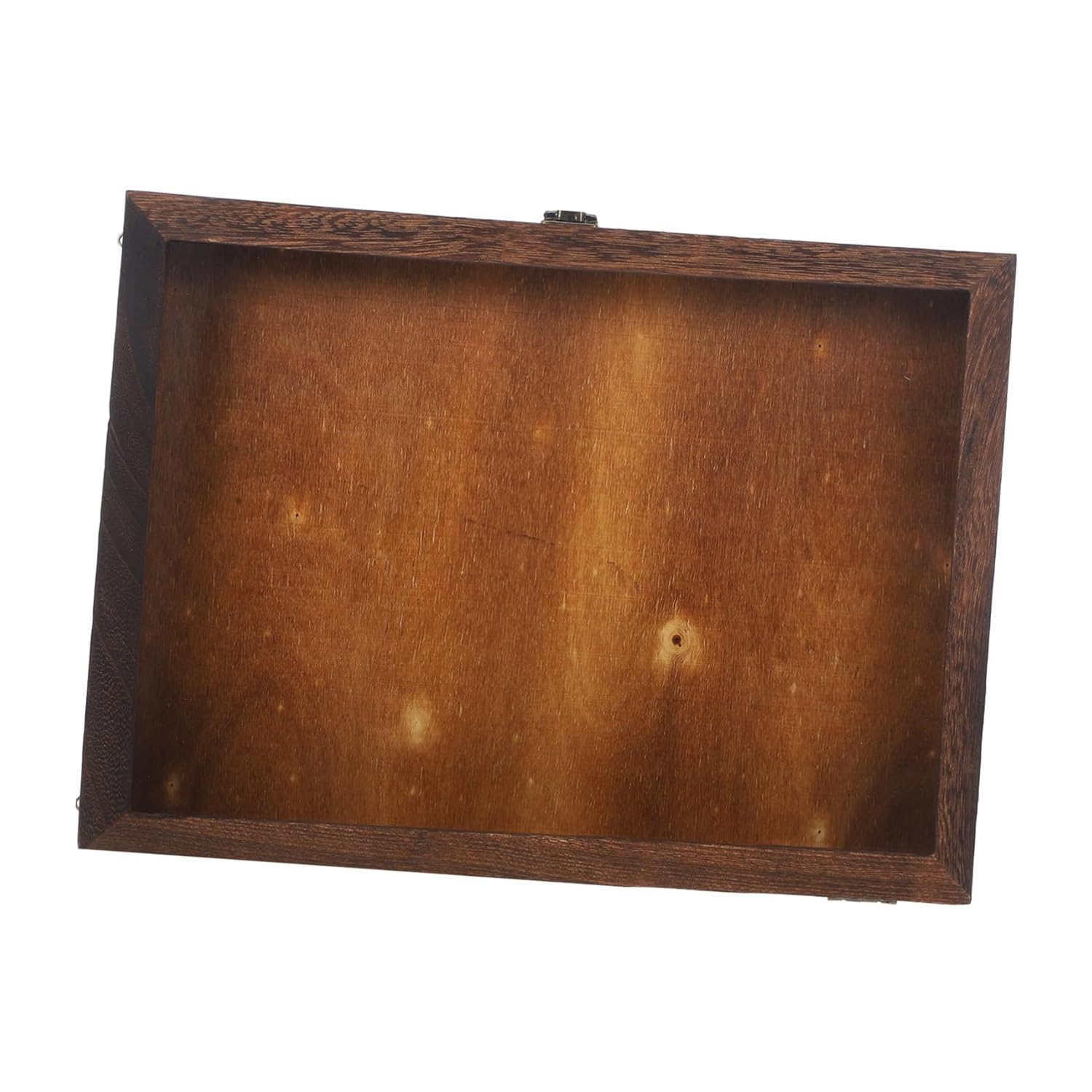 Butterflies Specimen Display Case Cabinet for Live Bugs Multi-Functional Storage Box for Coins Photos Crafts