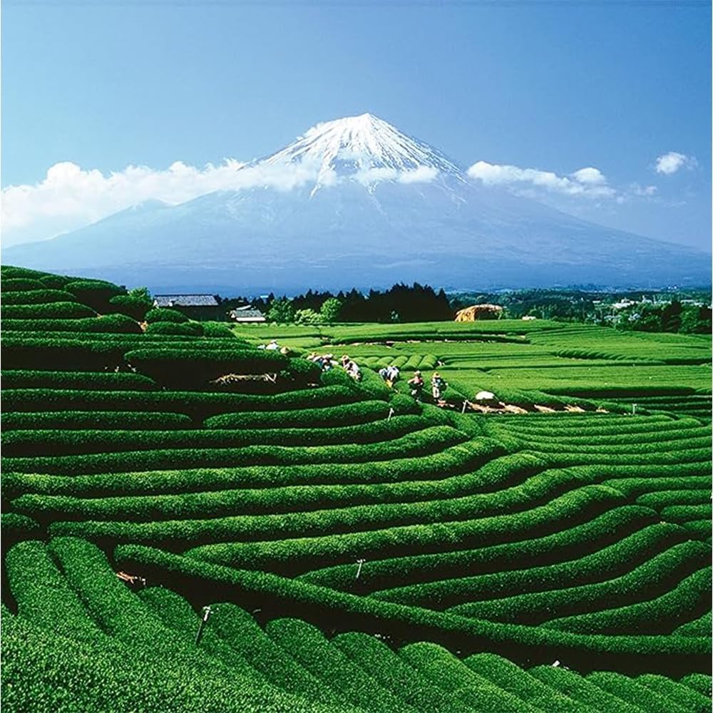 Palais des Thés Green Tea - Organic Icy Mint Blend with Peppermint - Premium Loose Leaf Tea - Serves 20–25 Cups - 3.5oz Tin