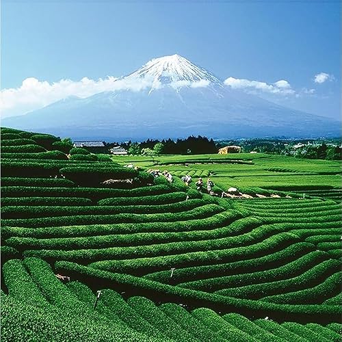 Vista 39 de Palais des Thés - Té verde con flor de geisha y flor de cerezo - Bolsas de té premium, sirve 20 tazas