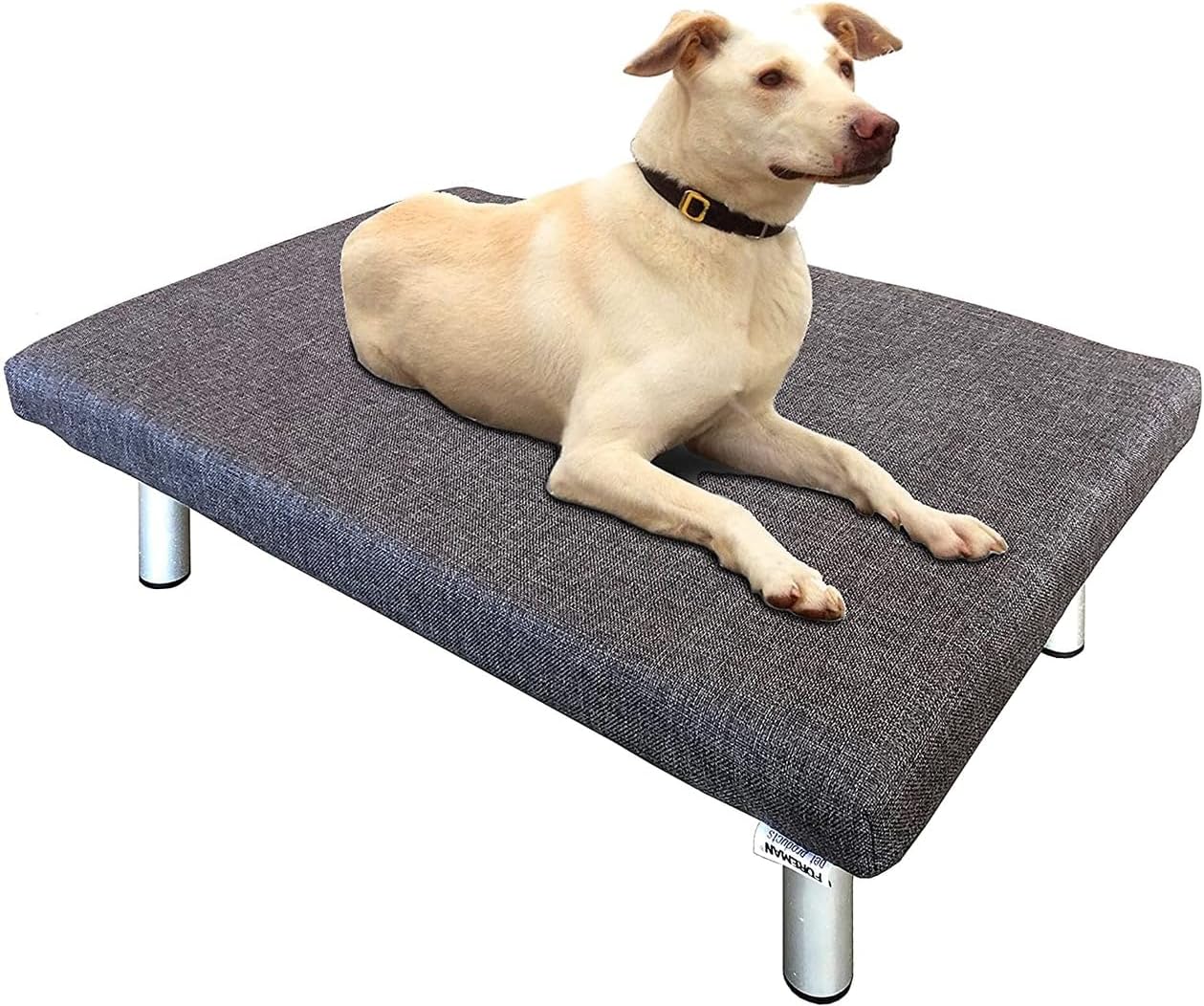 Foreman® Elevated Indoor/Outdoor Waterproof Dog Bed with a Washable UV Resistant Cushion, X-Small Gray