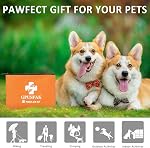 Pet First Aid Kit for Dogs & Cats - Dog First Aid Kit Pet Emergency Kit with First Aid Supplies for Home Camping Hiking Traveling