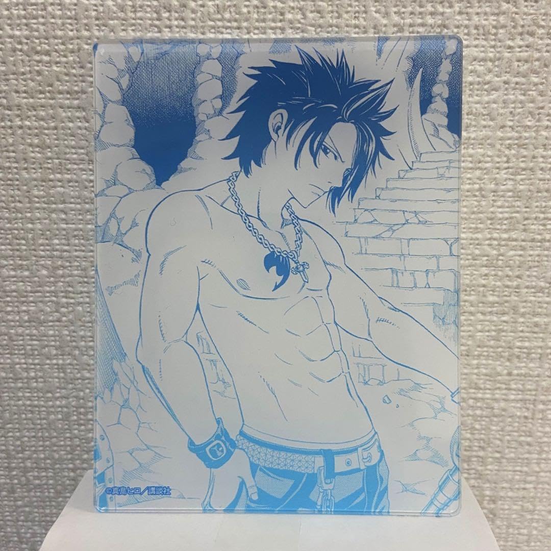 Amazon.co.jp: FAIRY TAIL フェアリーテイル アクリルカード グレイ