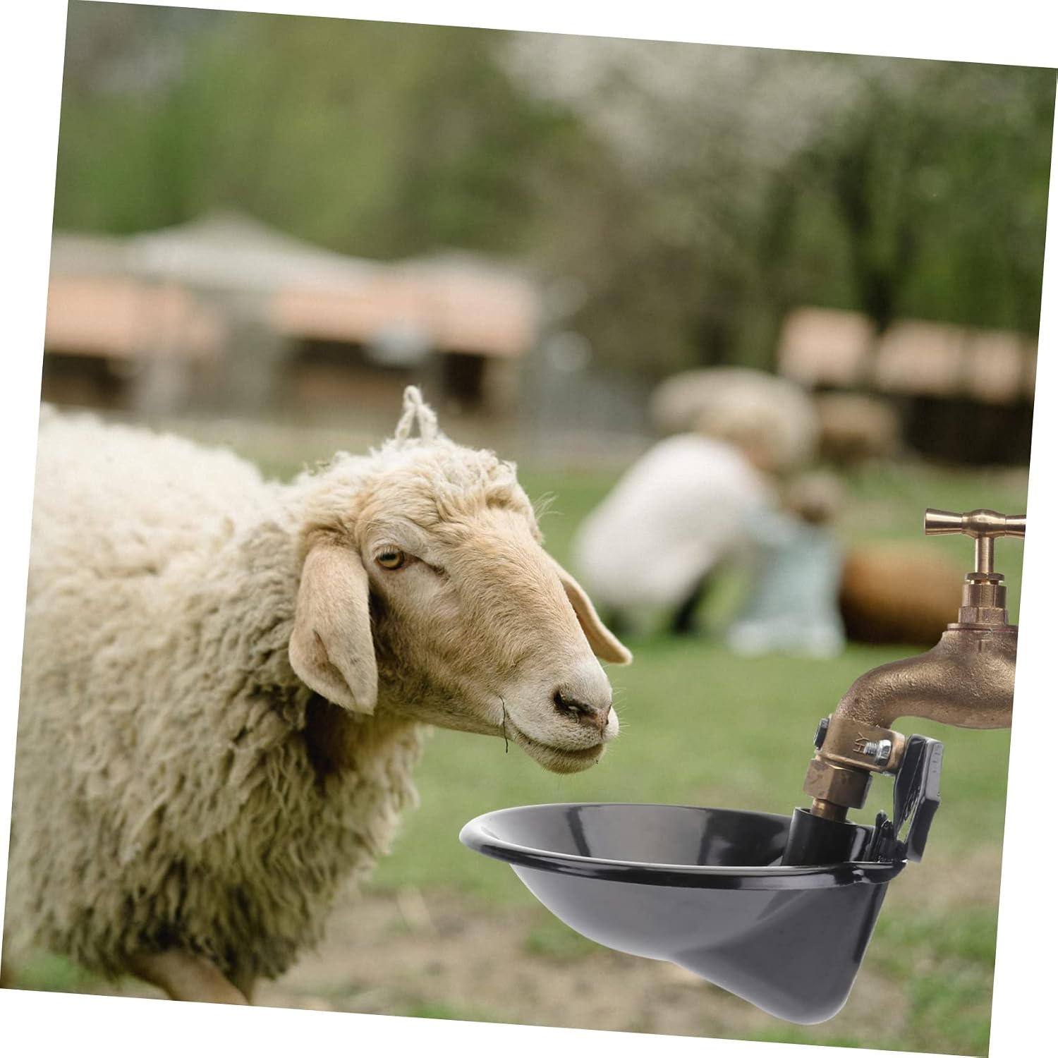 Milisten Automatic Pet Water Bowl Black Plate Sheep Feeder Metal Water Feeder Pet Bowl Trough