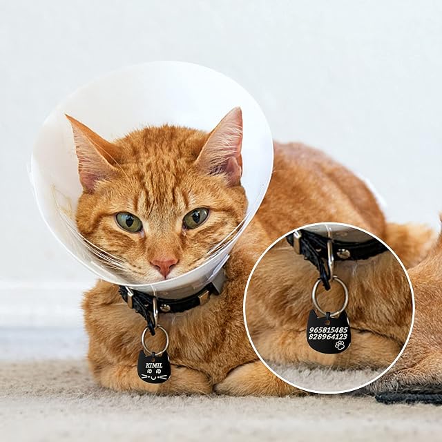 Foto 6 de 7 de Uiopa Chapas para Gatos, Personalizado Etiquetas de Identificación de Acero Inoxidable para Gato Chapa Perro…