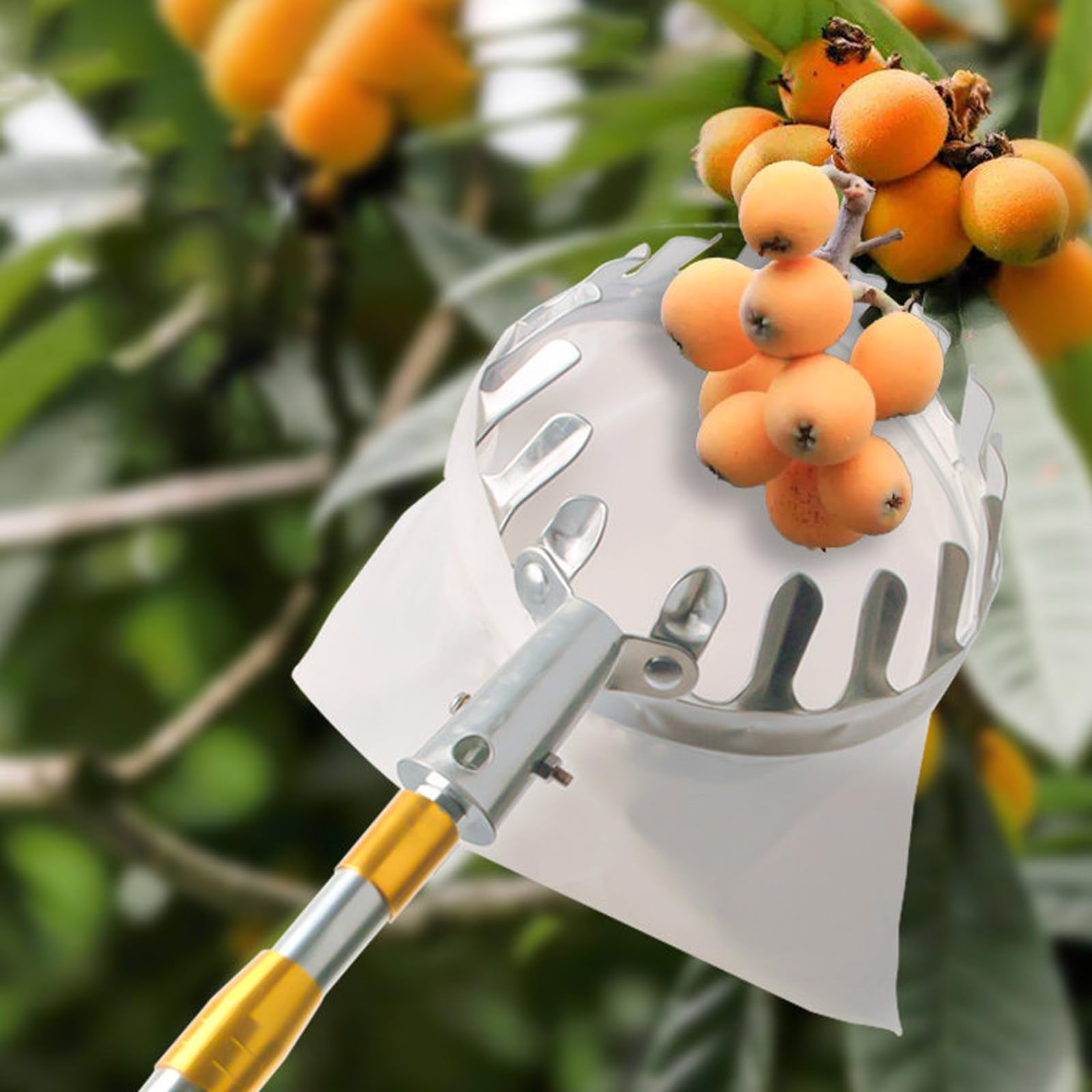 Picker De Fruits TéLescopique,Cueille-Fruits avec Manche TéLescopique,Ramasse Fruit MéTal,LéGèRement Stable Et Peu Encombrante,LéGer en Acier Inoxydable,pour Cerise,Pomme,Citron
