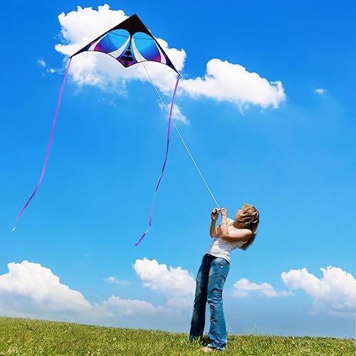 Miniatura 4 de HONBO Cometa Delta grande para niños y adultos, extremadamente fácil de volar para viajes a la playa, línea de cuerda incluida, con cola colorida,