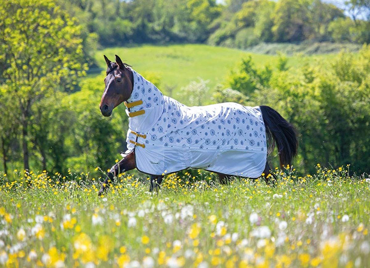 Shires Tempest Original Dandelion Pattern Fly Rug Full Neck Combo 66 ...