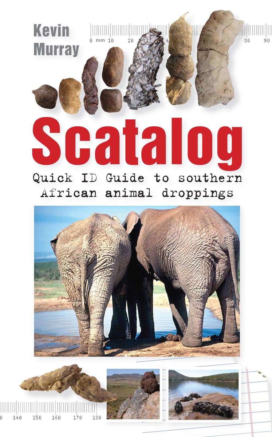 Scatalog by Kevin Murray (Paperback Book)