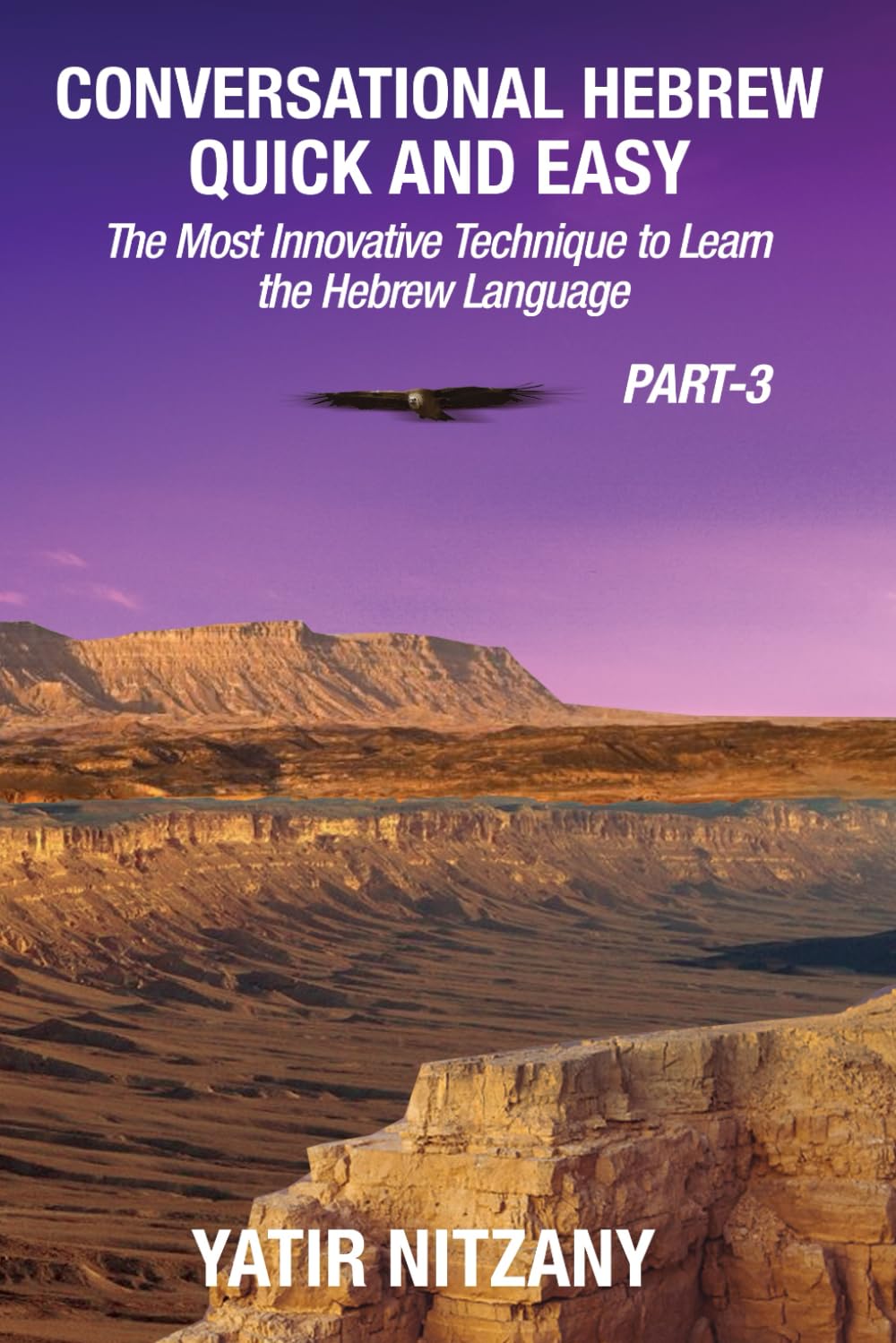 Conversational Hebrew Quick and Easy - PART III: The Most Innovative and Revolutionary Technique to Learn the Hebrew Language: 3