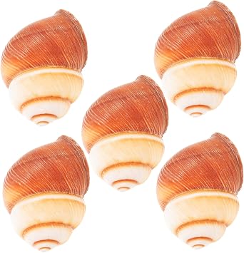 5pcs Escargot Cooking Shells for French Meals and Baking