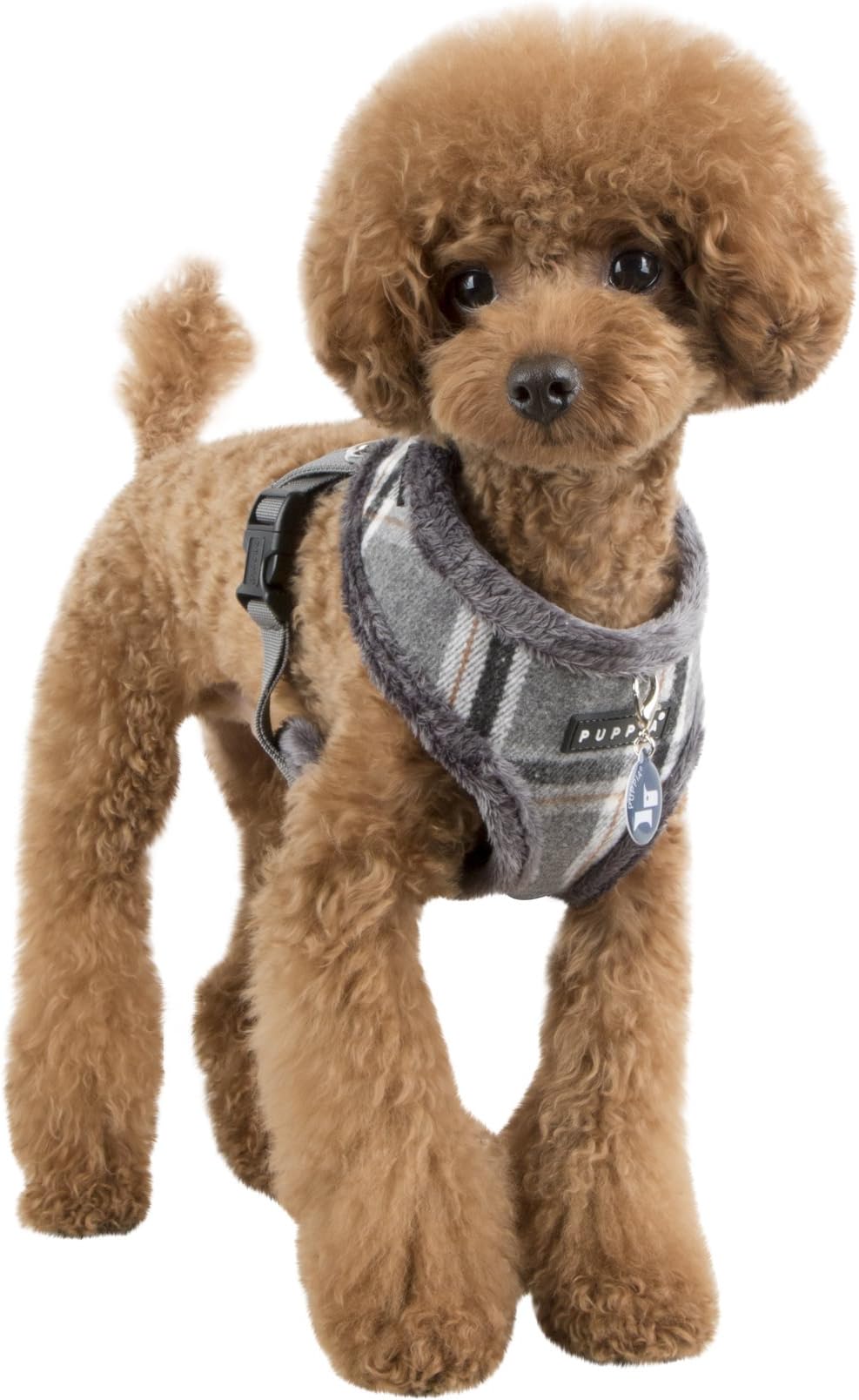puppia kemp harness