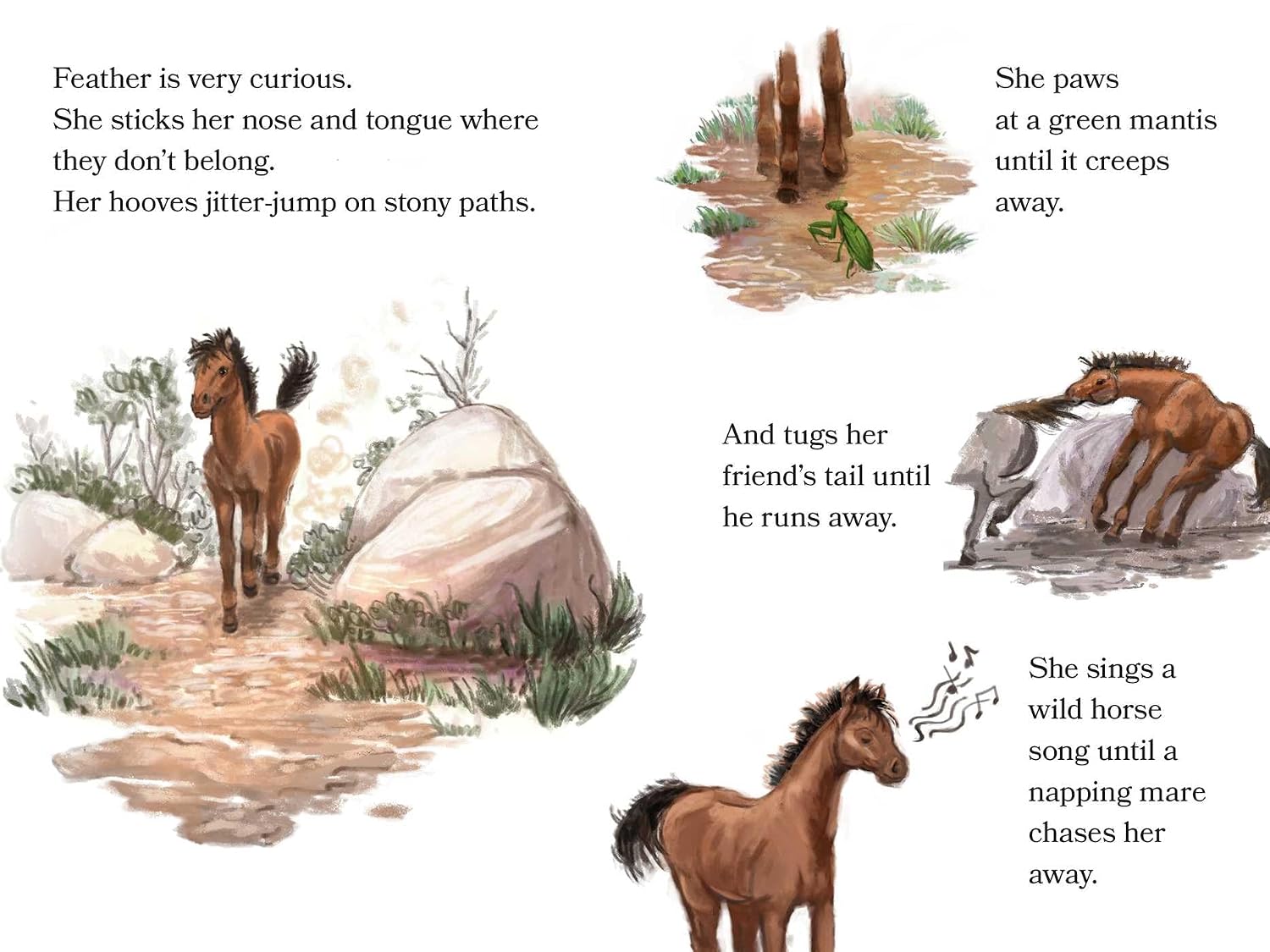 Feather the Foal: Ready-to-Read Level 2 (The Phantom Stallion's Family)