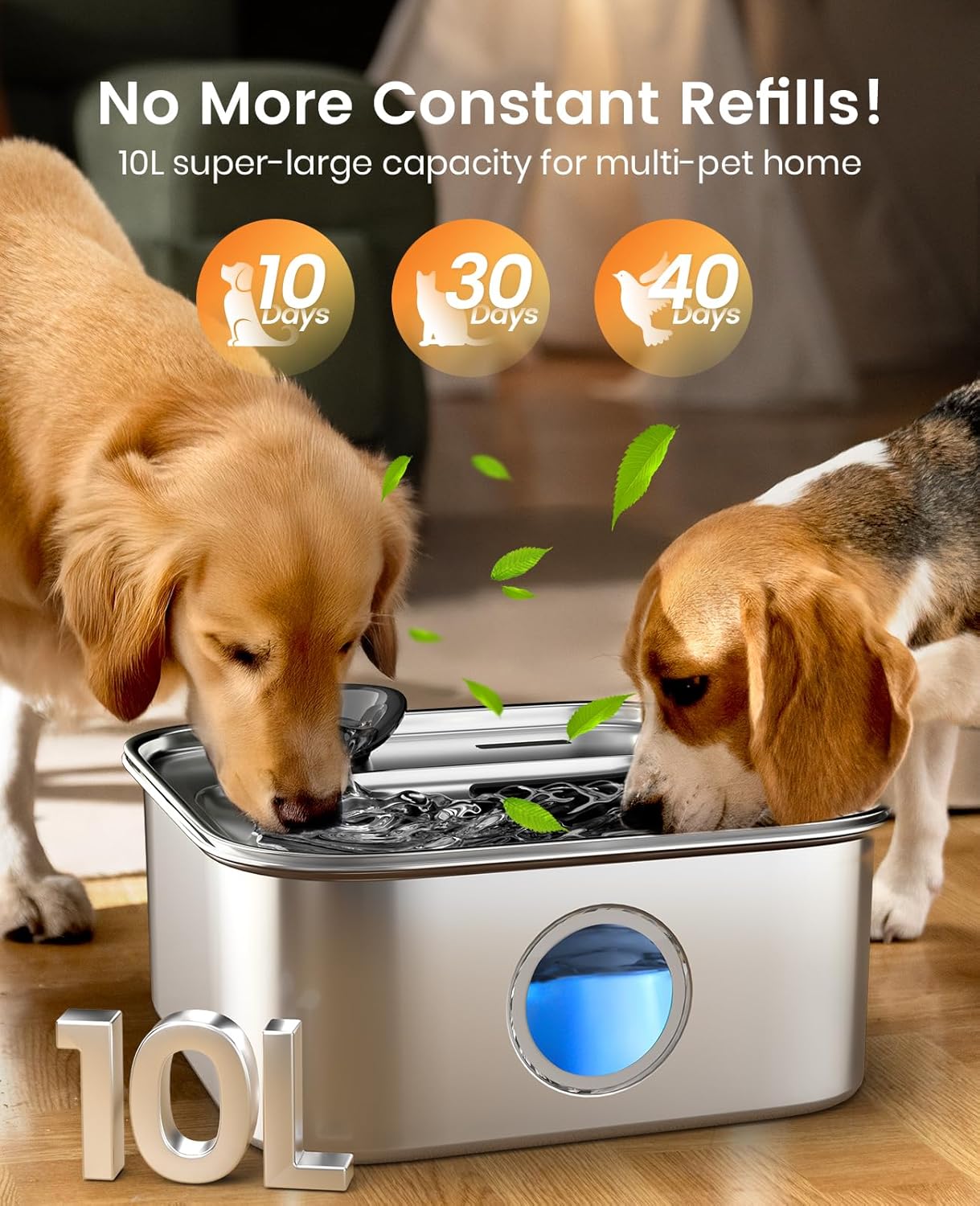 Hydration Made Easy: The Oneisall Dog Water Fountain Review for Large Breeds