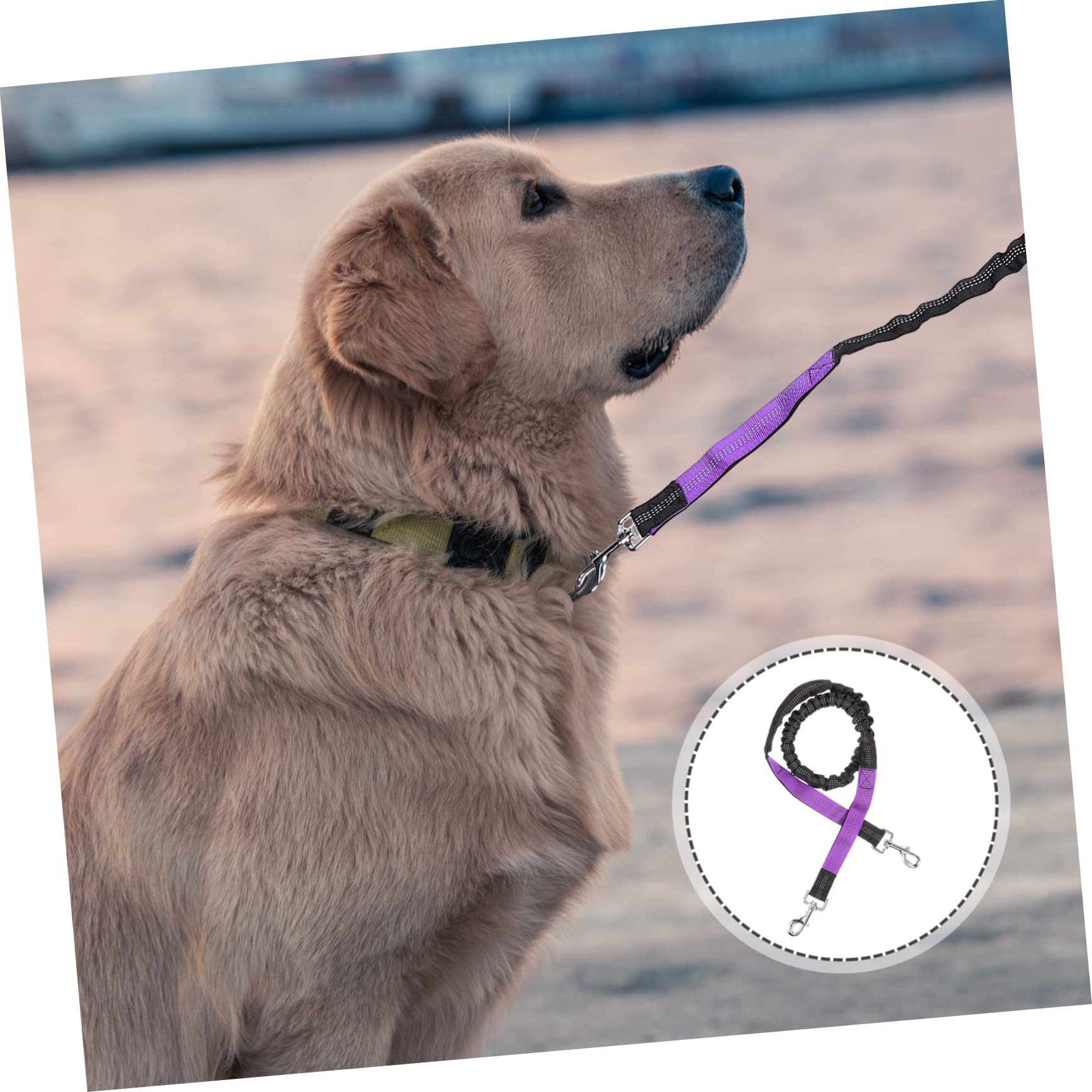 BESPORTBLE 2pezzi Guinzaglio Per Cani Con Cintura Elastico Guinzaglio Per Cani Da Corsa e Leggero e Resistente Nylon