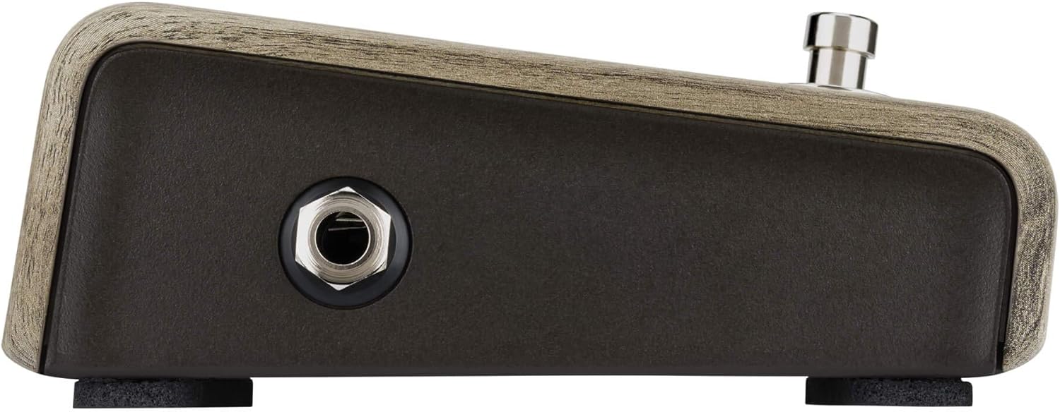 L.R. Baggs Align Active DI Acoustic Guitar Effects Pedal