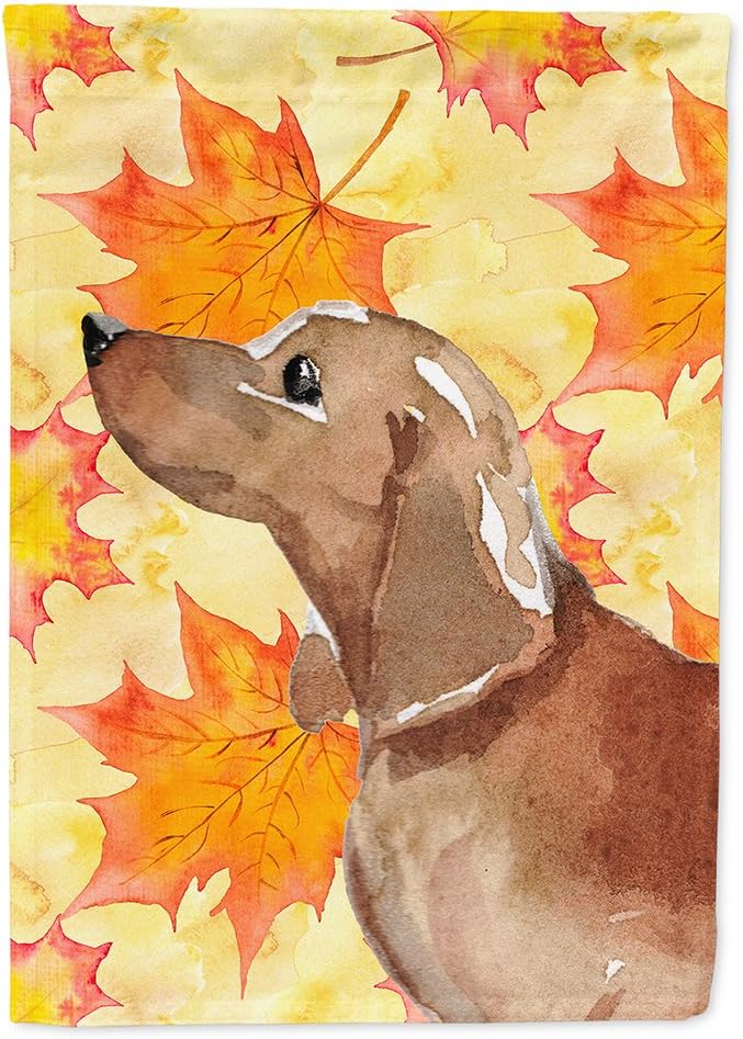 Caroline's Treasures BB9511CHF Red Tan Dachshund Fall House Flag Large Porch Sleeve Pole Decorative Outside Yard Banner Artwork Wall Hanging, Polyester, House Size, Multicolor