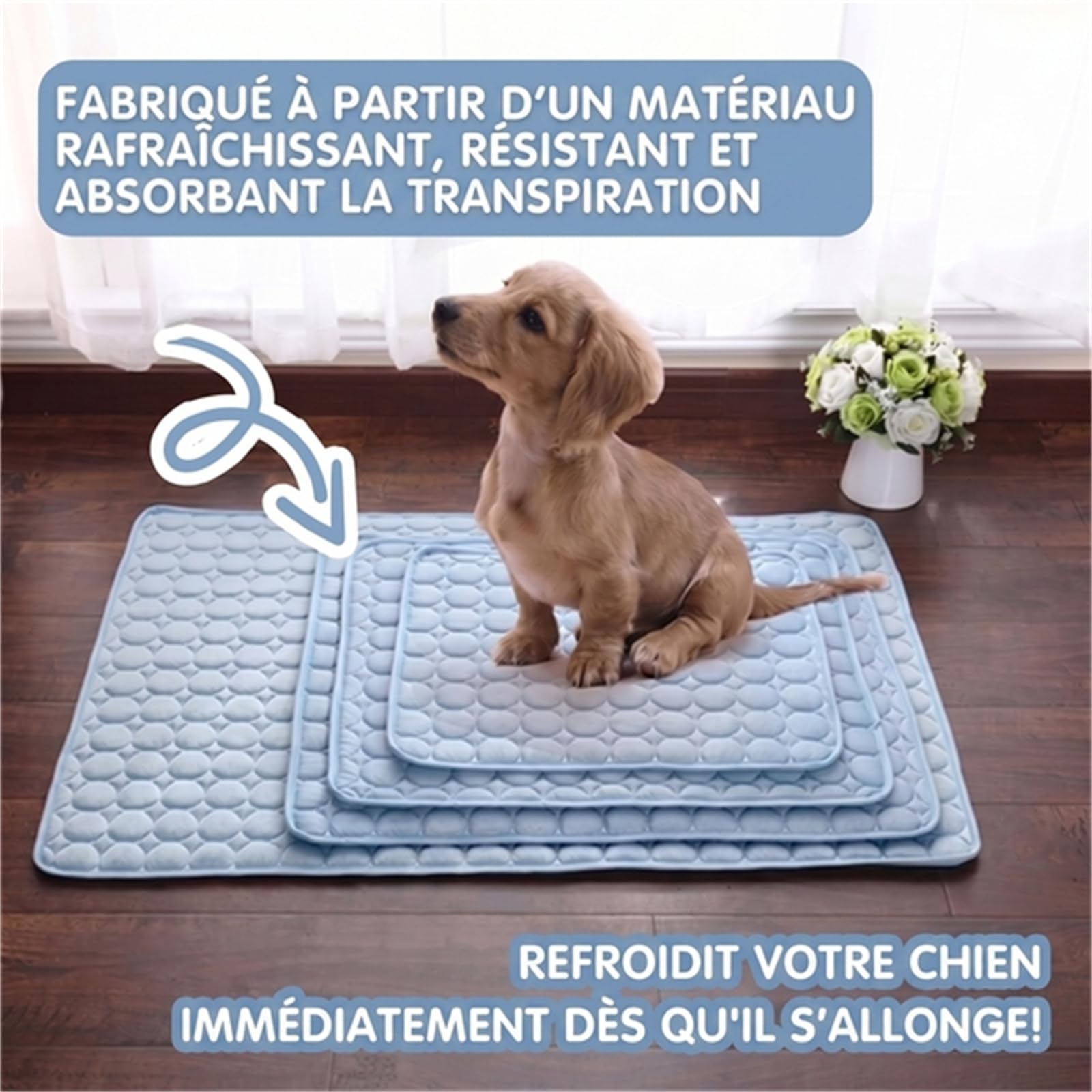 ChiKitur Tapis Refroidissant pour Chat Lavable et Respirant