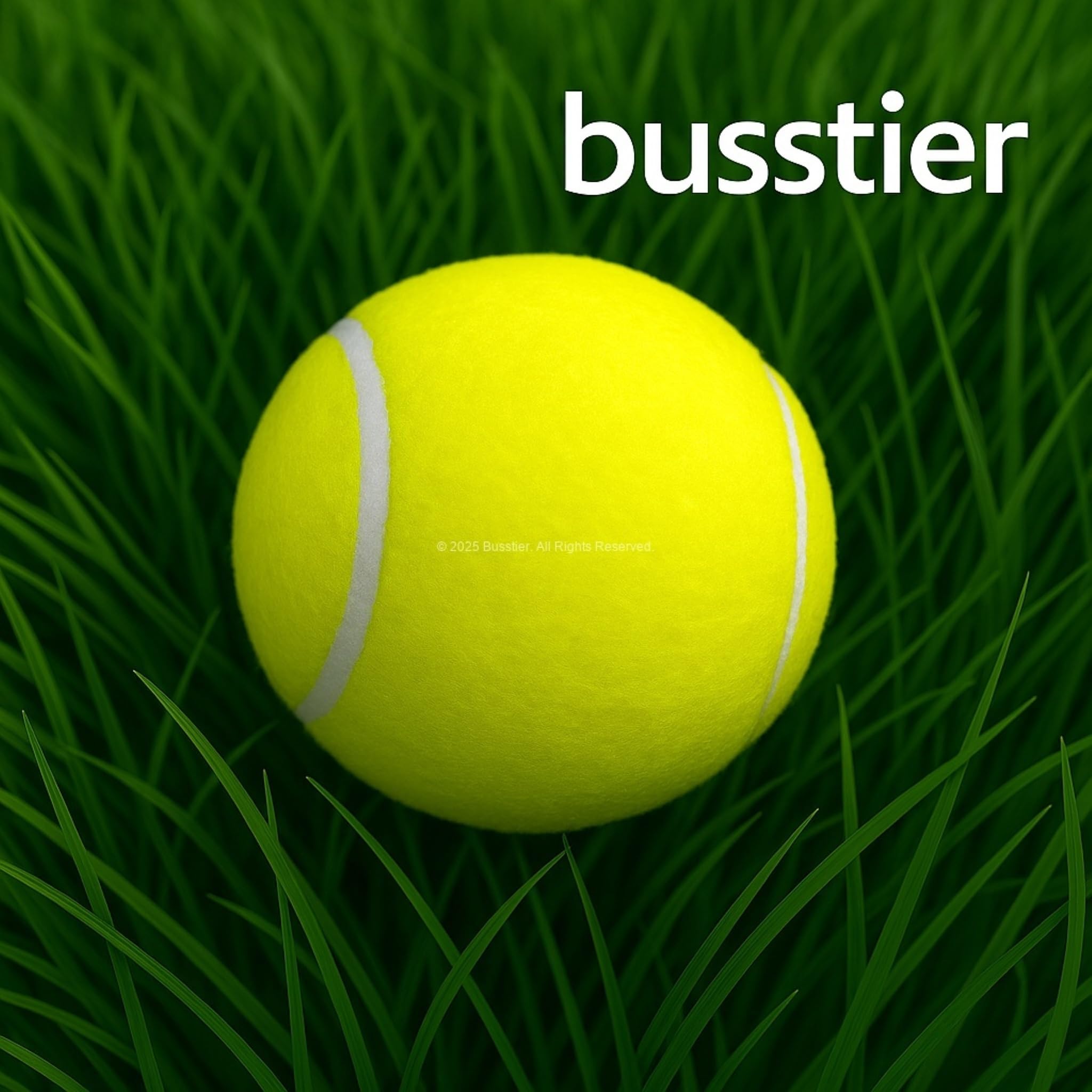 Busstier Dev Tenis Topu 14 cm Köpek Oyuncağı, Büyük Irklar İçin, Dayanıklı, Eğitim Amaçlı, Parlak Renkli, Diş Dostu Malzeme, Dış Mekan Kullanıma Uygun