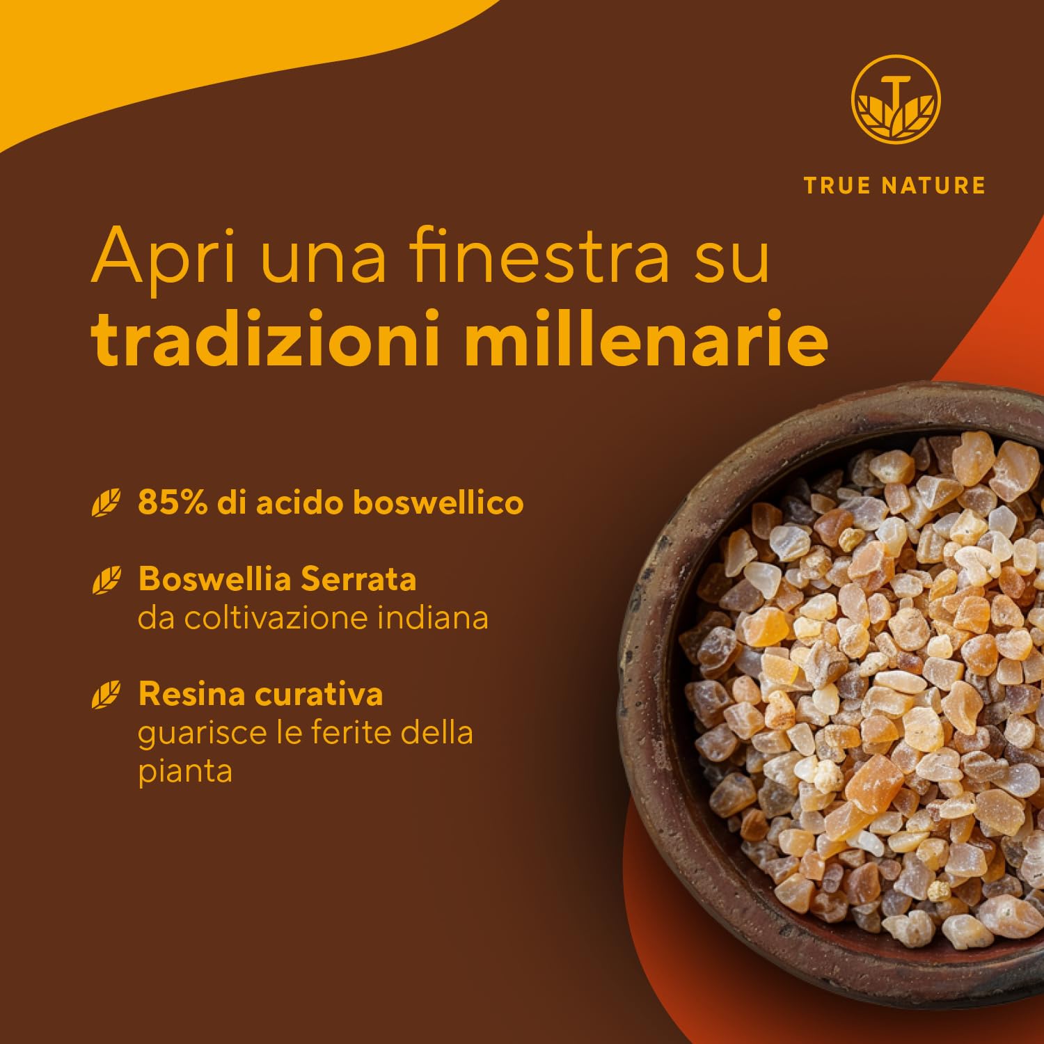 Boswellia Serrata - 240 Capsule - 20.000 mg - Alto dosaggio (10:1) - incenso integratore - Vegan, Testato in Laboratorio, Produzione Tedesca - TRUE NATURE®