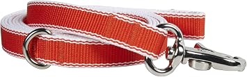 Waggo Stripe Hype Leash - Cherry - Medium - 6 ft x 5/8 inch