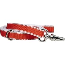 Waggo Stripe Hype Leash - Cherry - Medium - 6 ft x 5/8 inch