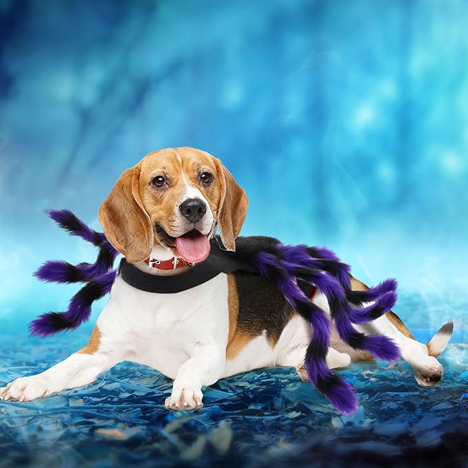 Disfraz Halloween Spider Dragon Vampiro para Perro Grande Pequeño miniatura 6