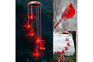 Sympathy Wind Chimes for Loss of Loved One - Solar Cardinal and...