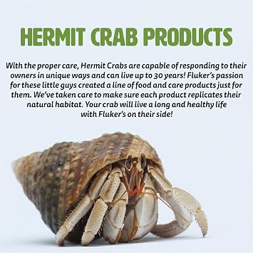 Fluker's Lagoon for Hermit Crabs, Water Bowl with Steps