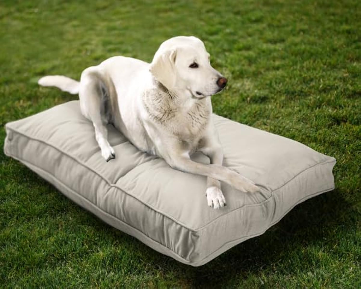 Sunbrella Double Sided Dog Bed for Indoor/Outdoor,Washable Cover & Chew Proof, Pets Mat for Multipurpose, Easy Care & Pet Safe Products for Dogs & Cats (Large, Polyester, Cherry Red,40”x30”x4”)