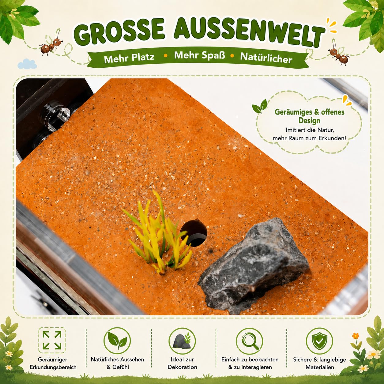 Ameisenfarm für Erwachsene - Studium des Ameisenverhaltens, Ameisennest, Terrarium, Pädagogisches Formicarium für Lebende Ameisen und Königin, Zwei Etagen